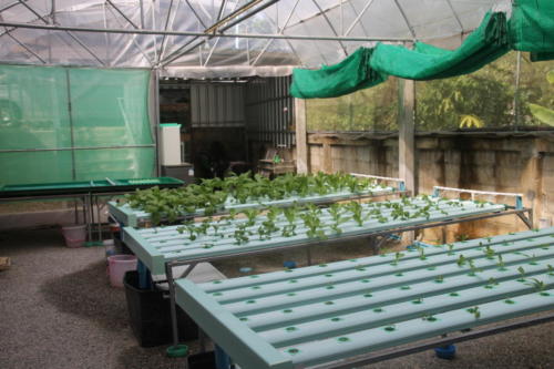 S2S hydroponic garden tables and storage area.